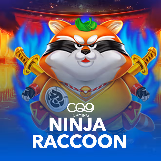 ninja-raccoon