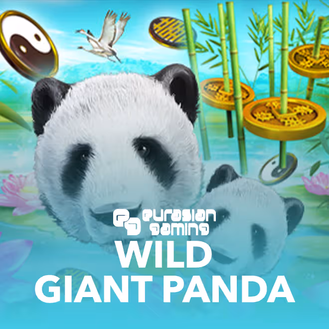 wild-giant-panda