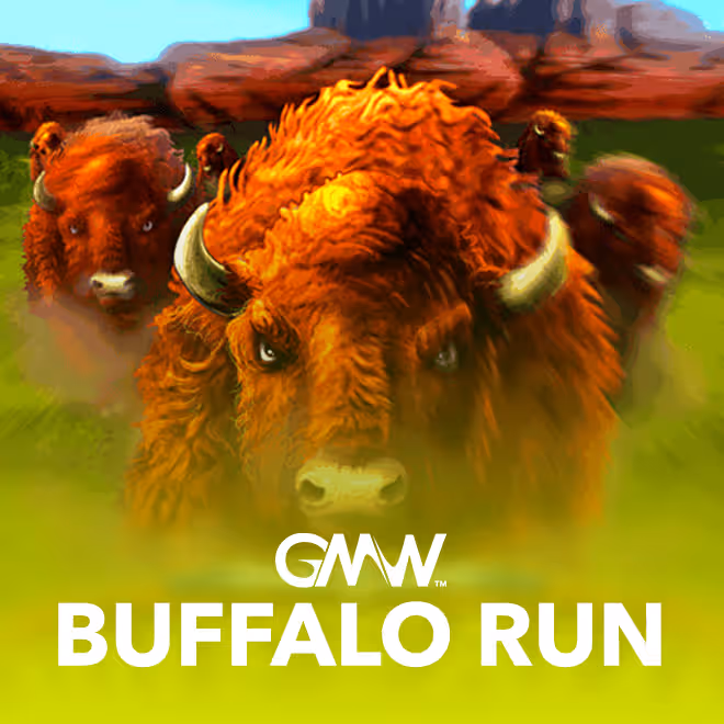 buffalo-run