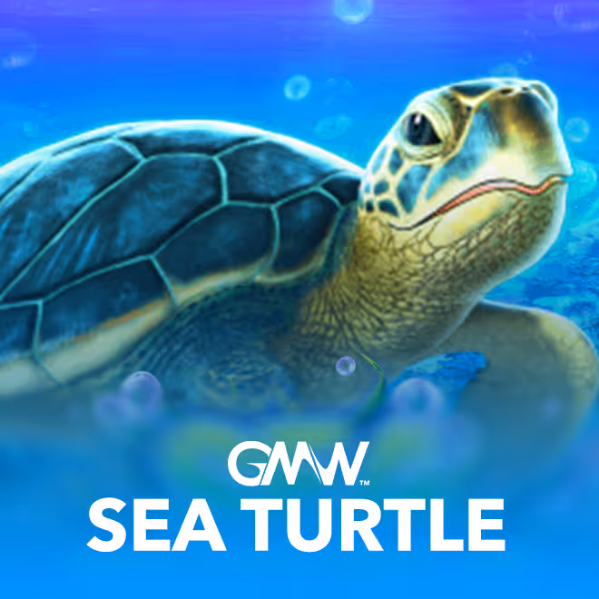 sea-turtle